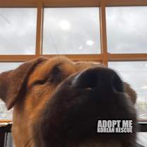 Thumbnail photo of Cherry #2