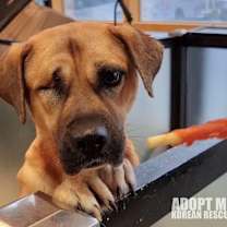 Thumbnail photo of Cherry #3