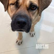 Thumbnail photo of Cherry #4