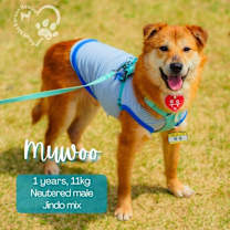 Thumbnail photo of Muwoo #1