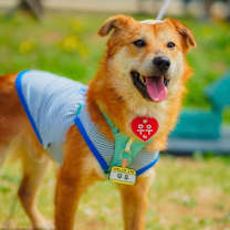 Thumbnail photo of Muwoo #2