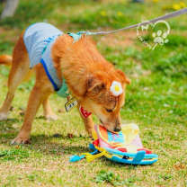 Thumbnail photo of Muwoo #3