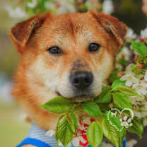 Thumbnail photo of Muwoo #4