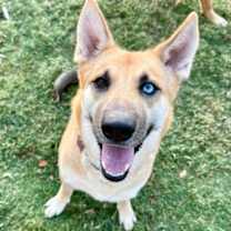 Thumbnail photo of Puddles #2