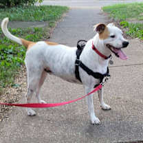 Thumbnail photo of Max #1