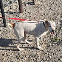 Thumbnail photo of Max #2