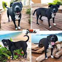 Thumbnail photo of Zeus #1