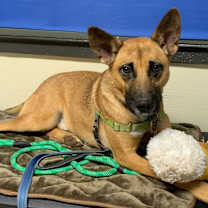 Thumbnail photo of Tater #4