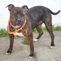 Thumbnail photo of Estelle #2