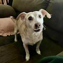 Thumbnail photo of Riley #1