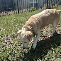 Thumbnail photo of Riley #2