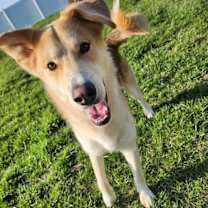 Thumbnail photo of Baron #3