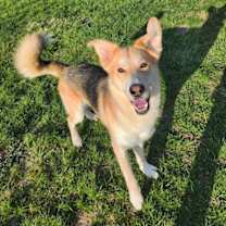 Thumbnail photo of Baron #4