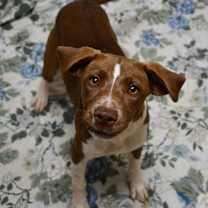 Thumbnail photo of Espresso #1