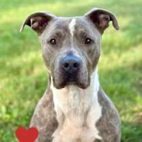 Thumbnail photo of Oden #1