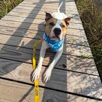 Thumbnail photo of Hudson #3