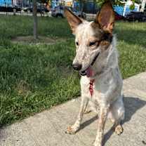 Thumbnail photo of Logan #1