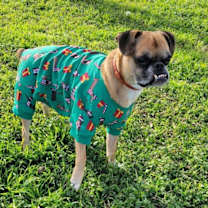 Thumbnail photo of Nash #2