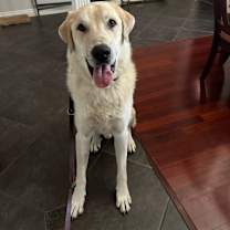 Thumbnail photo of Charlie #2