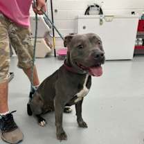 Thumbnail photo of Applesauce #3