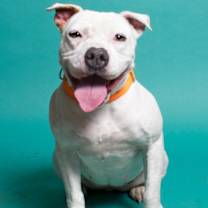 Thumbnail photo of Snow #1