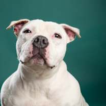 Thumbnail photo of Snow #2