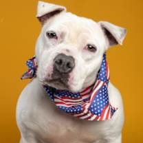 Thumbnail photo of Snow #3