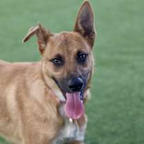 Thumbnail photo of Milo #3