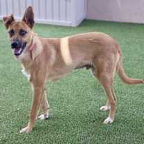 Thumbnail photo of Milo #4