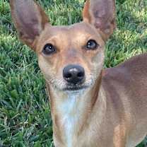 Thumbnail photo of Cash #1