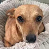 Thumbnail photo of Cash #2