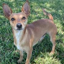 Thumbnail photo of Cash #3