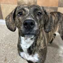 Thumbnail photo of Jewel #1