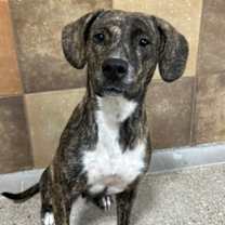 Thumbnail photo of Jewel #3