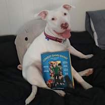 Thumbnail photo of Nellie #2