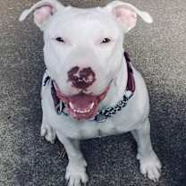 Thumbnail photo of Nellie #3