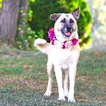 Thumbnail photo of Sabrina #1