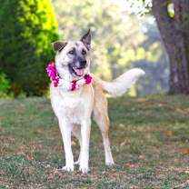 Thumbnail photo of Sabrina #3