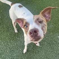 Thumbnail photo of Destiny #2