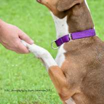 Thumbnail photo of Moana  *Trained* #2