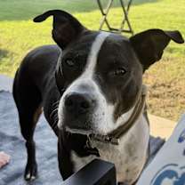 Thumbnail photo of Jackson #2