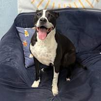 Thumbnail photo of Jackson #4