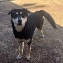 Thumbnail photo of Helen #1