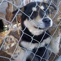 Thumbnail photo of Helen #3