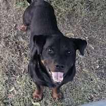 Thumbnail photo of Zeus #1