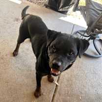 Thumbnail photo of Zeus #4