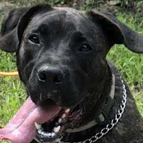 Thumbnail photo of Max #3