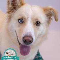 Thumbnail photo of Shellie #1