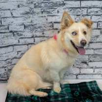 Thumbnail photo of Shellie #4