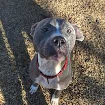 Thumbnail photo of Hadley Grace #1